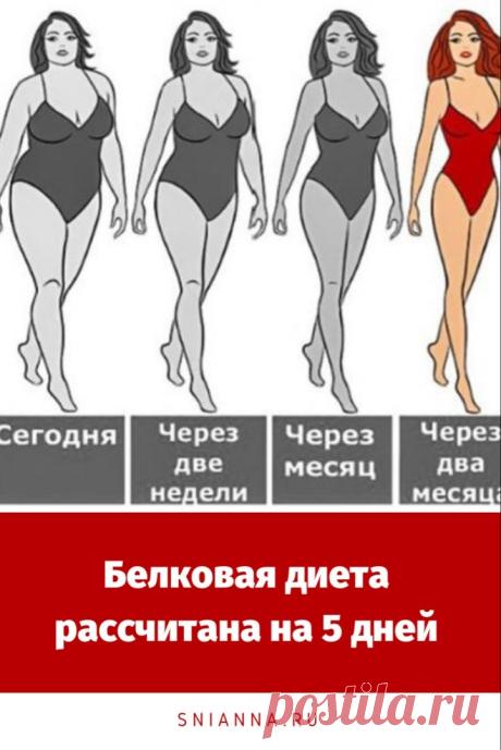 Белковая диета на 5 дней
Ожидаемая потеря веса около 6 кг.
Меню белковой диеты. #диета Кликайте на фото, чтобы прочитать ⤴
