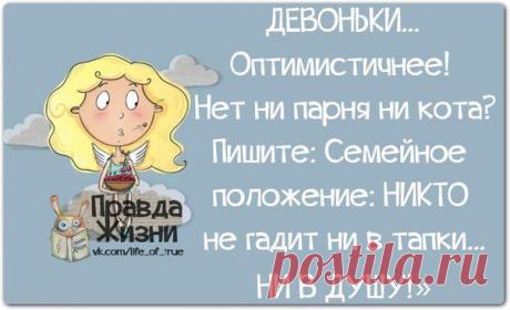 Фотографии на стене сообщества | 32 835 фотографий | ВКонтакте