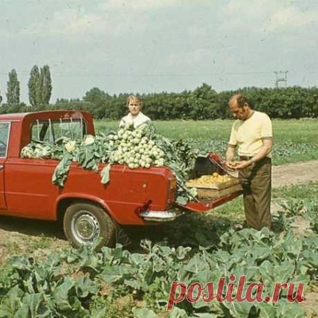 Пикапы и социализм