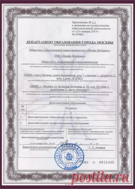 Школа удалённых профессий