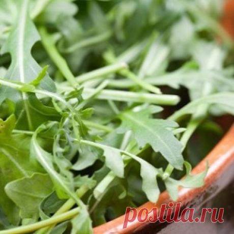 Невероятная польза рукколы: 7 свойств из-за которых ее стоит добавить в свой рацион