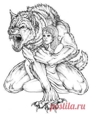 Карина: Да, у меня сложный характер…, но каждый сам выбирает, завести котенка или приручить львицу..