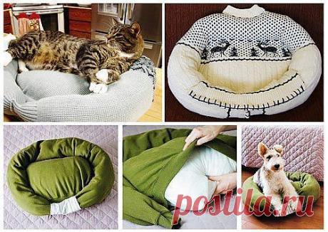 ежаки для домашних питомцев из старого свитера и подушки.