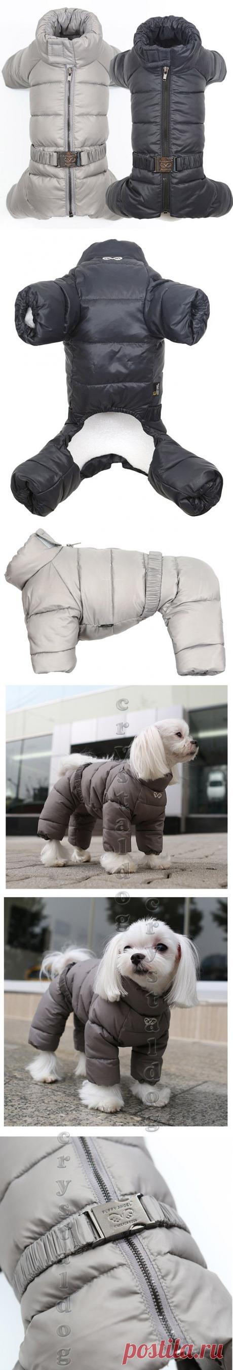 Зимние комбинезоны для собак мелких пород &quot;Дутик&quot; (311 PA-CT) - КОМБИНЕЗОНЫ ДЛЯ СОБАК - ОДЕЖДА ДЛЯ СОБАК - Crystaldog