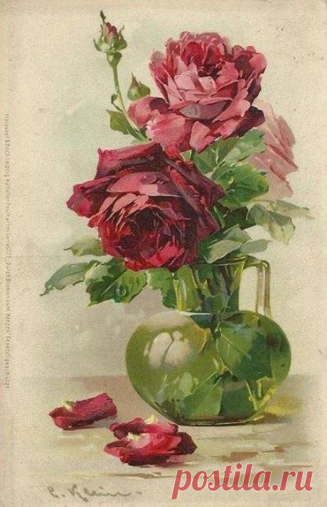 (723) Catherine Klein roses | Flores
