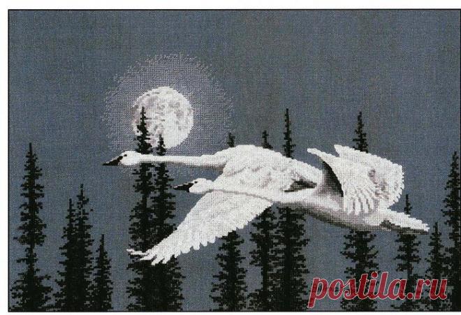 Надо мной летели лебеди