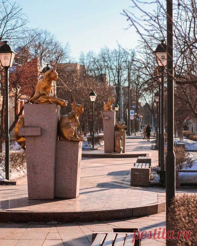 Аллея сибирских кошек