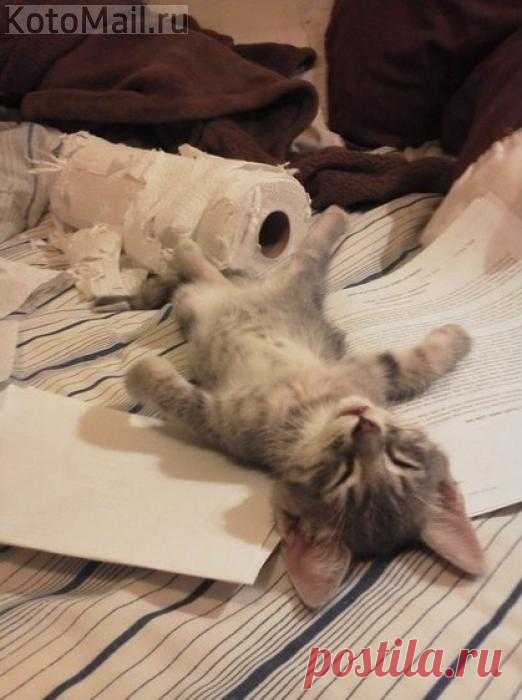 Терпенье и труд - это не для меня!