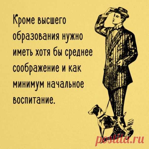 Подборка весёлых картинок