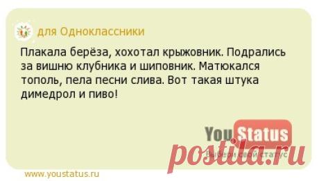 Статус про свой любимый класс