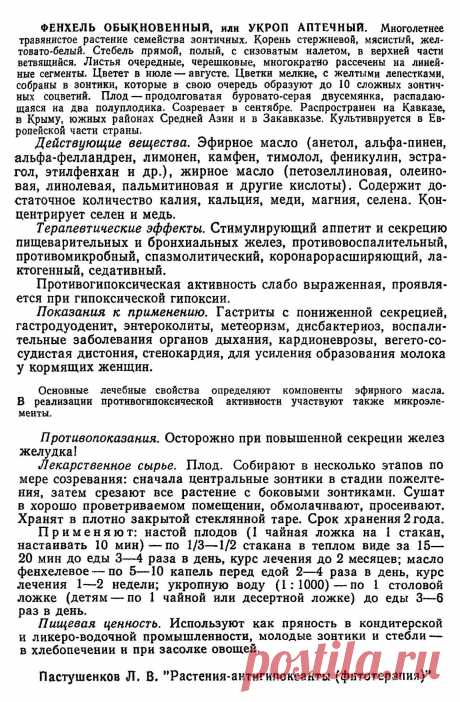 Фенхель обыкновенный  (укроп аптечный)
