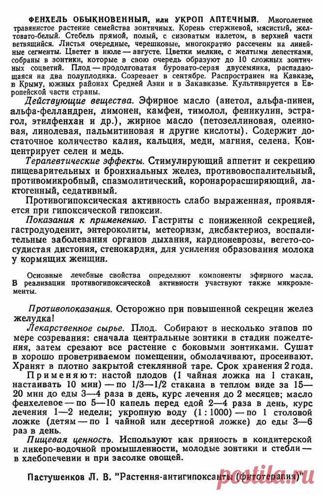 Фенхель обыкновенный  (укроп аптечный)