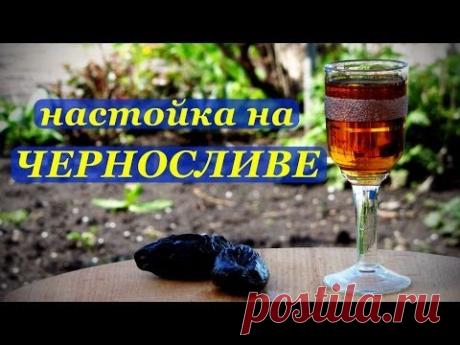 Рецепт алкогольной настойки на Черносливе