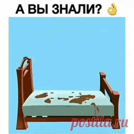 2 непрочитанных чата