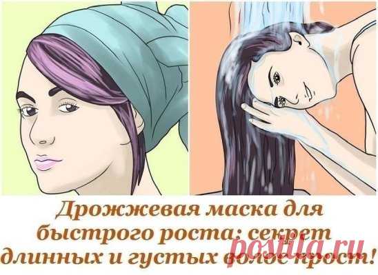Дрожжевая маска для быстрого роста: секрет длинных и густых волос прост!
Дрожжи имеют богатый минеральный и витаминный состав, благодаря ему дрожжевые маски так полезны для наших волос. Такие маски подходят как для сухих, так и для жирных волос. Они придают волосам силу, объем и делают их ухоженными.
Если соблюдать курс лечения, в скором времени волосы будут расти в буквальном смысле «как на дрожжах».
Для проведения таких процедур посуду бери побольше, поскольку дрожжи начинают бродить и увел