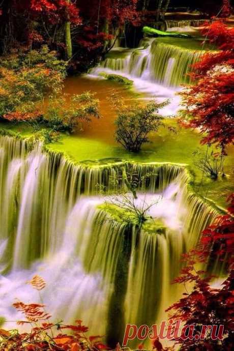 (4) Facebook