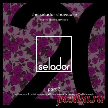 VA – Selador Showcase 20, Pt. 3
