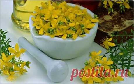 Зверобойное масло для лечения суставов.Рецепт масла.