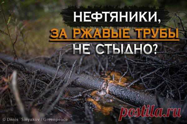 Только по официальным данным, из-за изношенности нефтепроводов в России каждый год происходят более 10 тысяч утечек нефти. Спросите у нефтяников, не стыдно ли им за это?