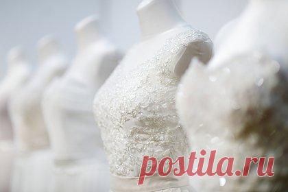 Брошенная женихом невеста решила продать свадебное платье ради лечения от рака. 24-летняя мексиканская модель Лусеро Вега продаст свадебное платье на онлайн-аукционе ради оплаты лечения от рака. Жених бросил девушку через два месяца после постановки смертельно опасного диагноза — у нее нашли рак груди. Примерно тогда же у ее отца обнаружили рак кожи.