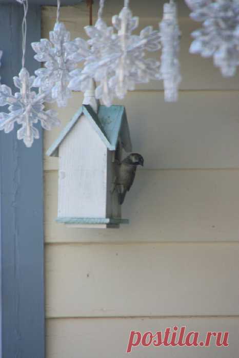 Домики для птичек — 6 соток
