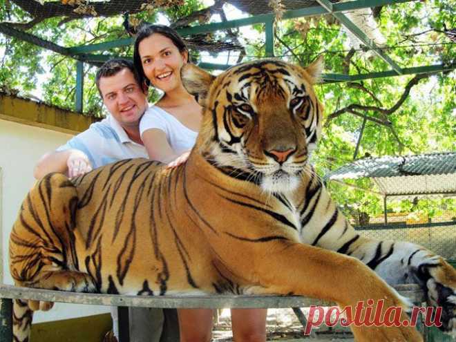 Необычные зоопарки мира / Туристический спутник