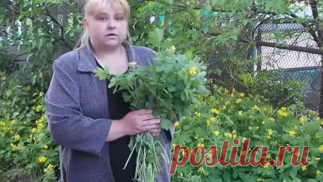 (47) Одноклассники  ЧИСТОТЕЛ УБИВАЕТ РАКОВЫЕ КЛЕТКИ...