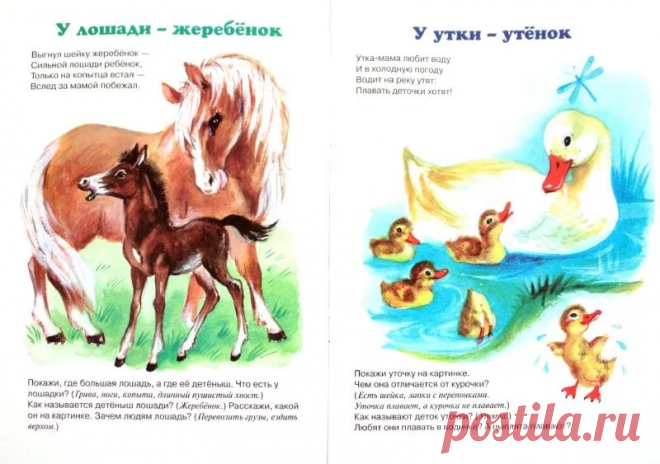 мама с детенышем животные картинки для детей: 12 тыс изображений найдено в Яндекс.Картинках