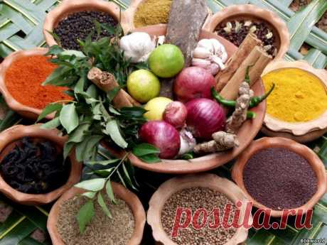 8 продуктов, борющихся с паразитами в организме / Будьте здоровы