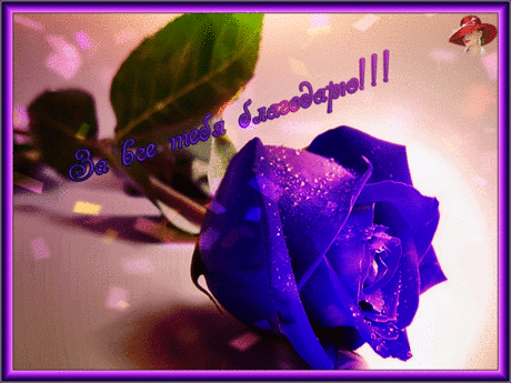 41.gif (800×600)