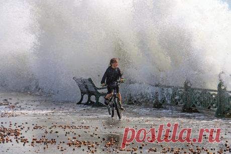 Close-Up Photographer of the Year 2020: мир насекомых на фото • Интерьер+Дизайн