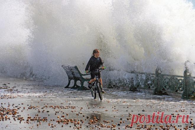 Close-Up Photographer of the Year 2020: мир насекомых на фото • Интерьер+Дизайн