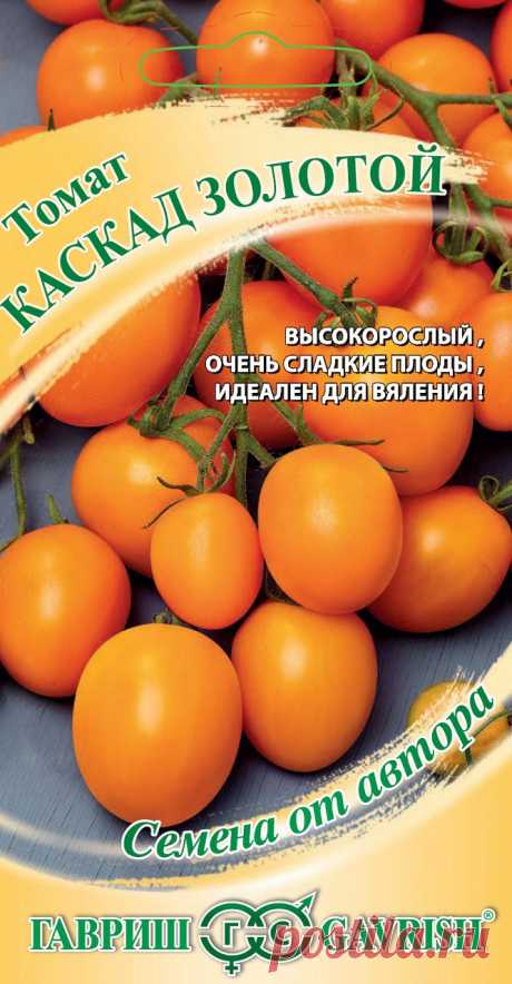 Каскад золотой томат отзывы Огород без хлопот - информационный сайт для дачников, садоводов и огородников.