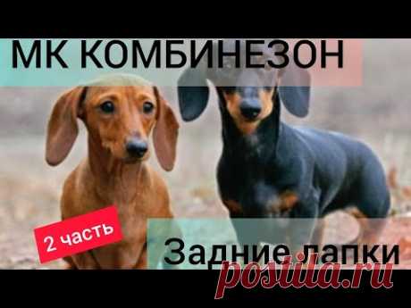 ❤️МК комбинезон для таксы девочки, 2 часть