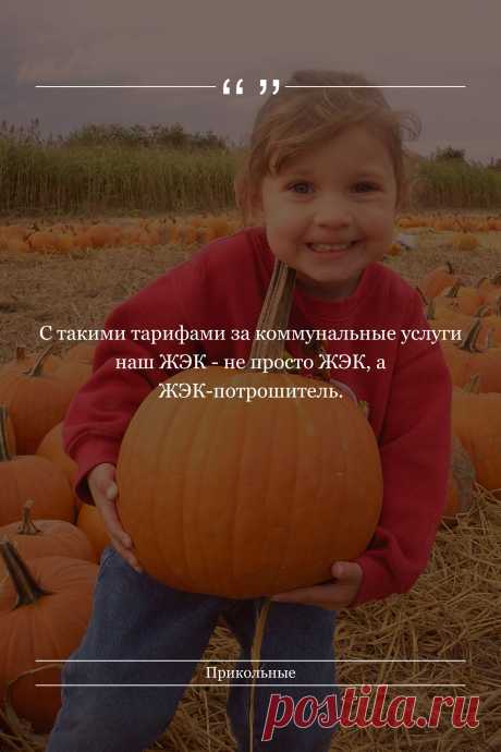 Цитата про «Приколы» — С такими тарифами за коммунальные услуги наш ЖЭК…