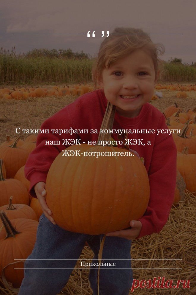Цитата про «Приколы» — С такими тарифами за коммунальные услуги наш ЖЭК…