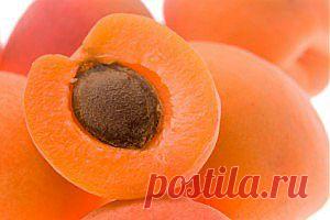 Абрикос | Всё о продуктах