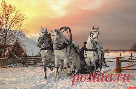 Фото: Тройка. Фотолюбитель Алексей Афонин. Компьютерная обработка. Фотосайт Расфокус.ру