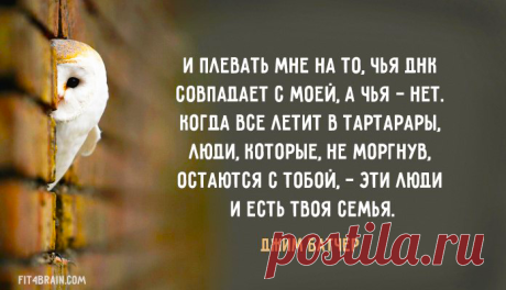 Именно.