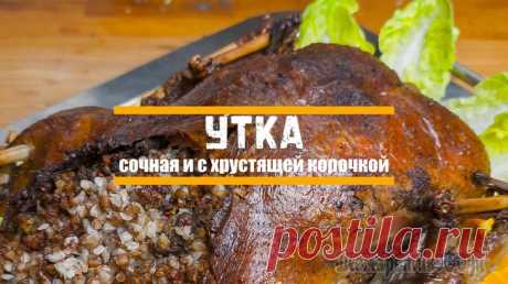 Сочная утка на праздничный стол