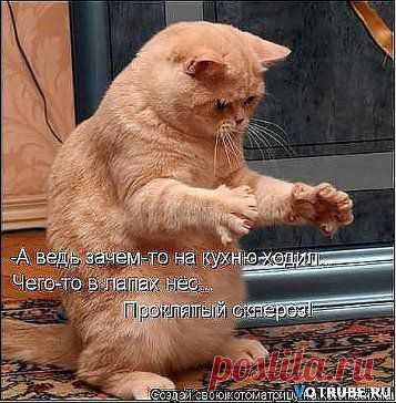 Старость-не радость.....и с памятью проблемы.