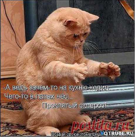 Старость-не радость.....и с памятью проблемы.