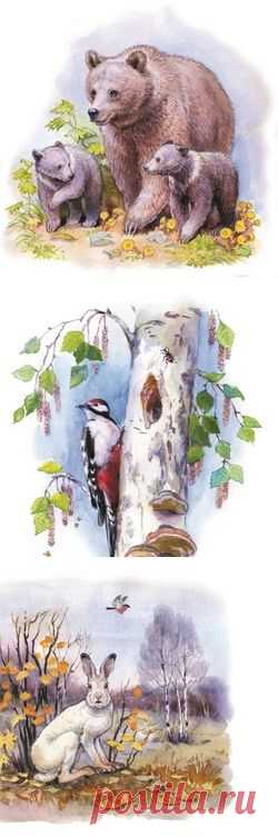 Сообщество иллюстраторов / Участники / Инна