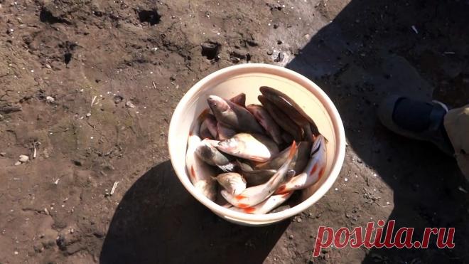 Как почистить ведро рыбы за 15 минут Вы наловили много рыбы и хотите все быстро почистить, да чтобы чешуя не летела в разные стороны? Есть очень любопытный способ. Идея конечно не новая, в интернете уже много подобных методов, поэтому решили повторить увиденное и почистить рыбу быстро при помощи минимойки высокого давления.