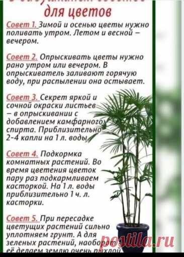 Скриншот-28-09-2025 11:58:43.jpg