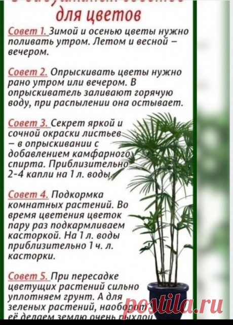 Скриншот-28-09-2025 11:58:43.jpg