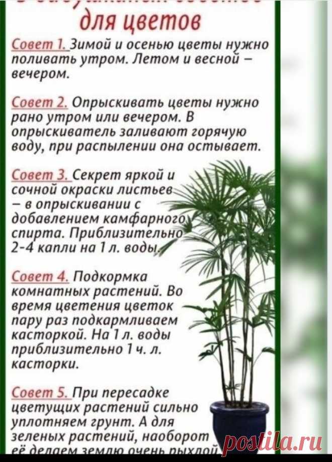 Скриншот-28-09-2025 11:58:43.jpg