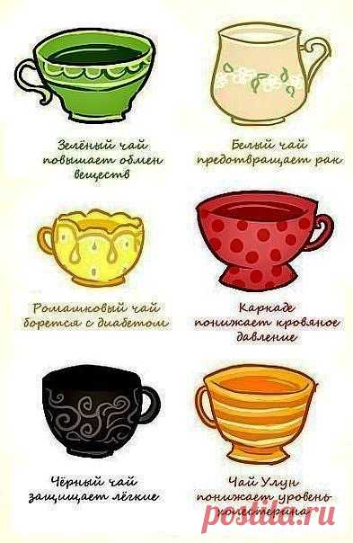 Свойства чая