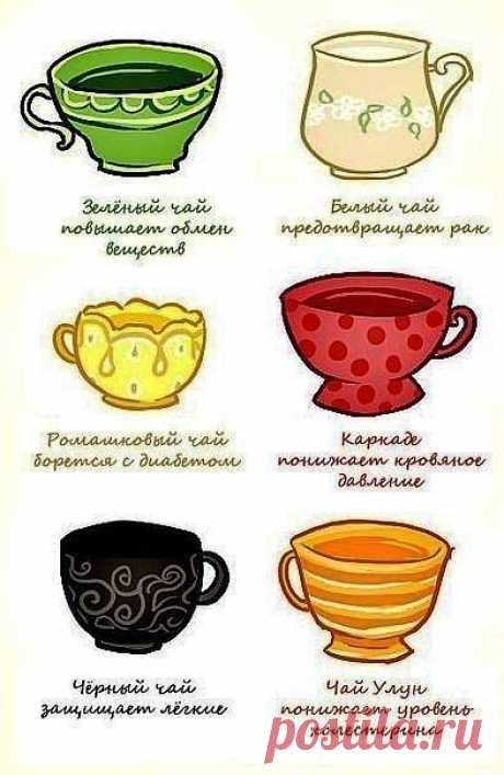 Свойства чая