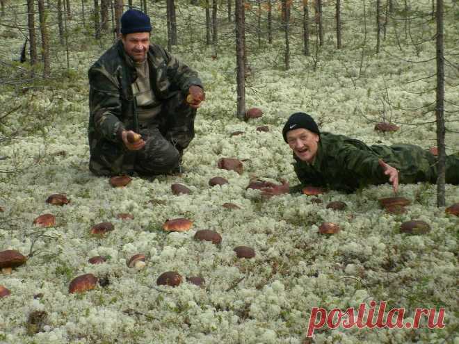 (99) Одноклассники